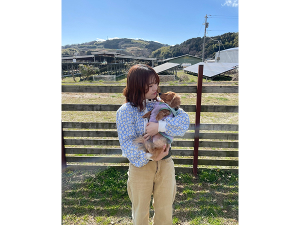 卒業犬しゅんすけくんのサマーカット♪